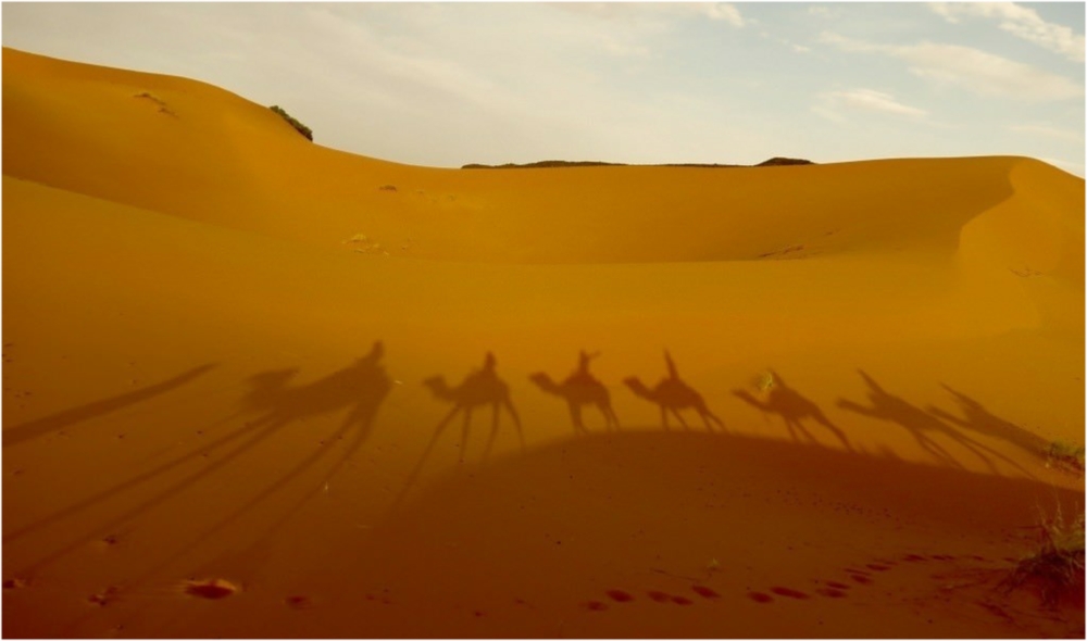 Desert tours Fes